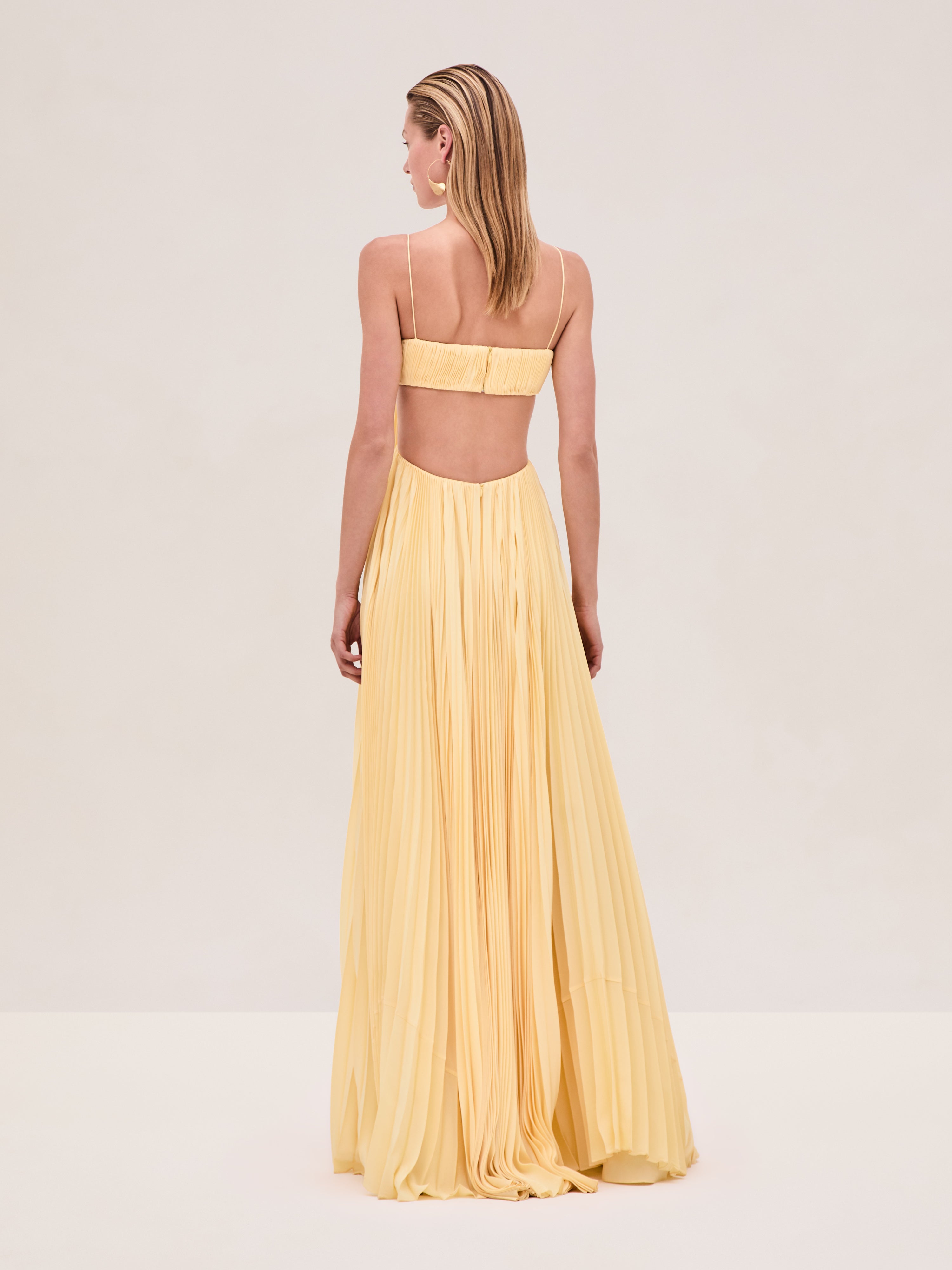 Sunbeam Pleated Dress